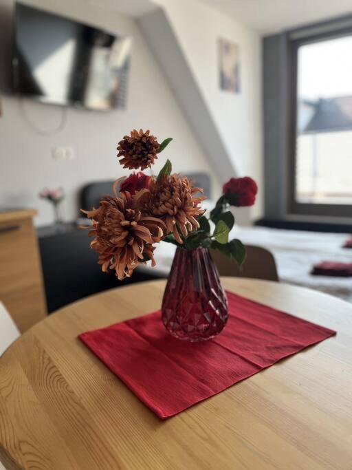 Sunny/stylish Rooftop Home/private Balcony Shared Jacuzzi Apartment